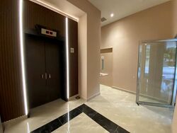 Mount Elizabeth Link (D9), Condominium #606374651